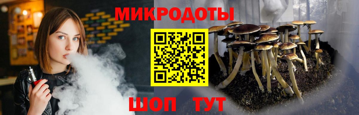 Фролово  Псилоцибиновые грибы MAGIC MUSHROOMS  Вход с VPN 